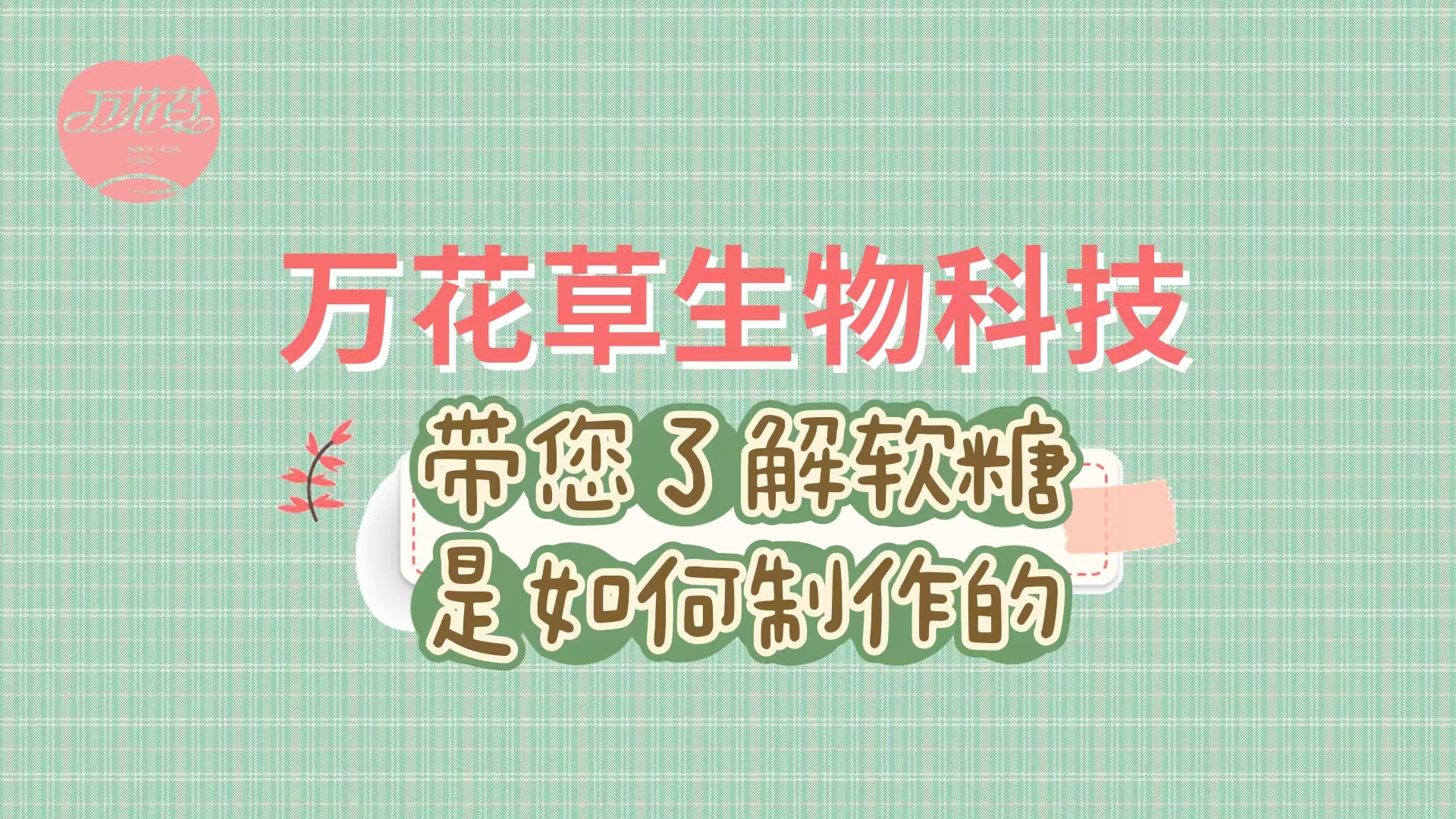 軟糖代加工生產(chǎn)工藝流程，帶您了解糖果是如何制作的