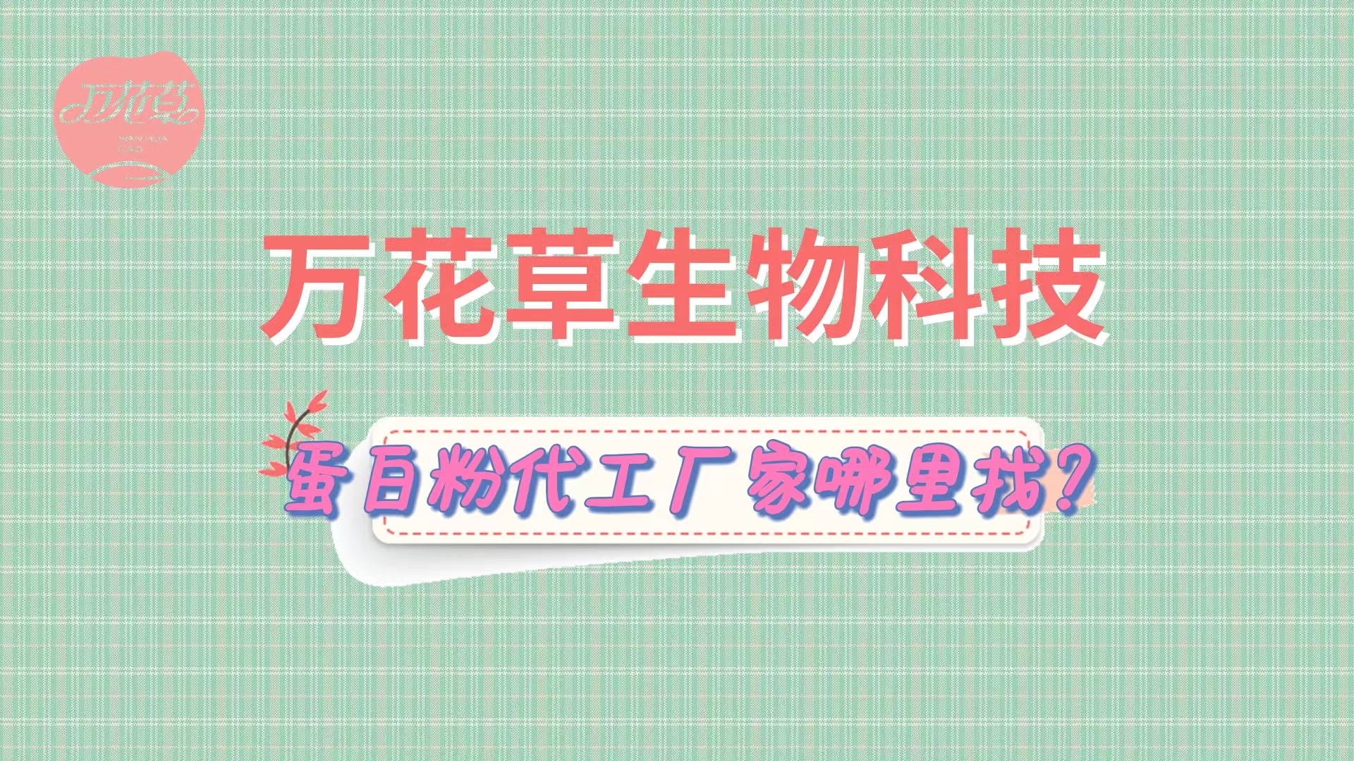 蛋白粉代加工，怎么找專業(yè)源頭廠家？